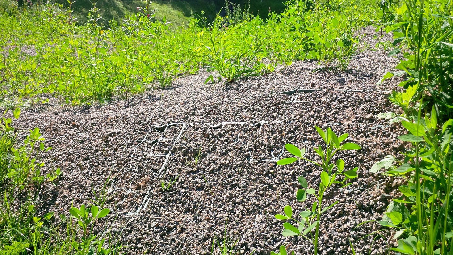 ECORASTER- zatravňovací dlažba- ECORASTER- využití v praxi