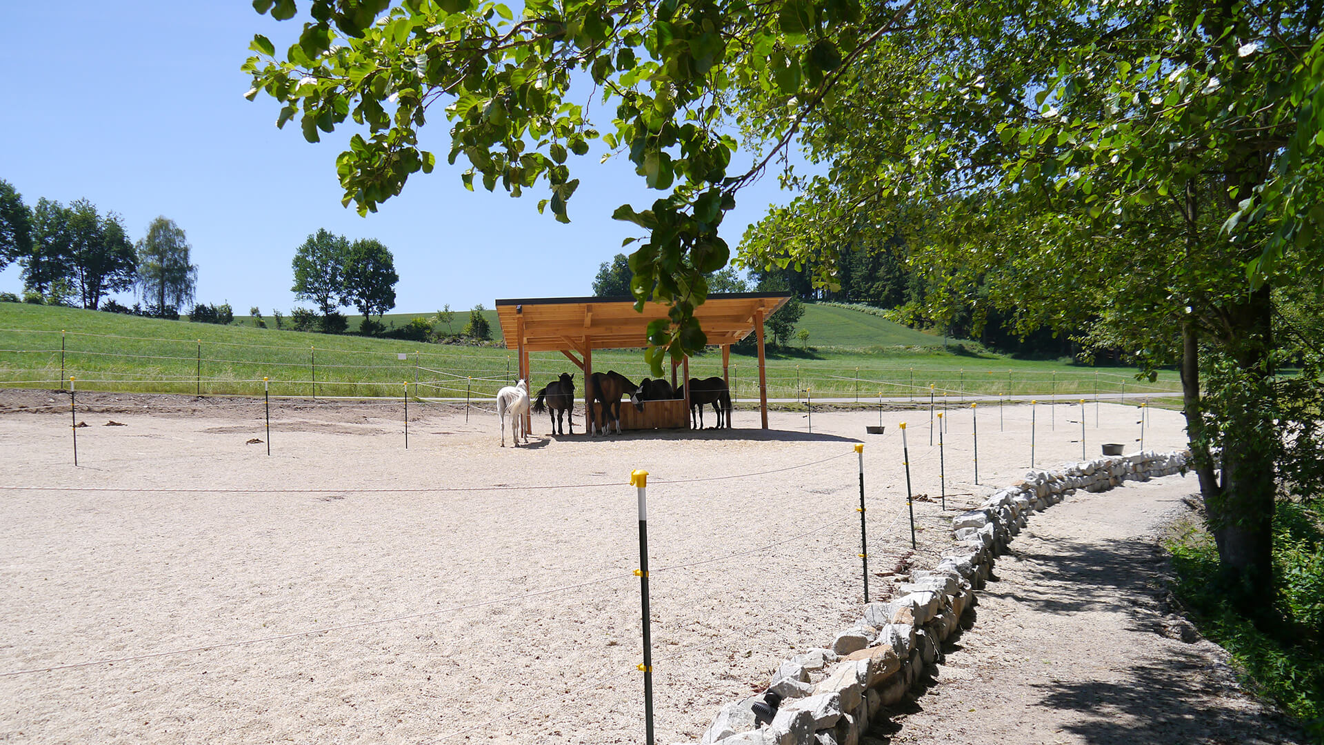 ECORASTER- zatravňovací dlažba- ECORASTER- využití pro koně